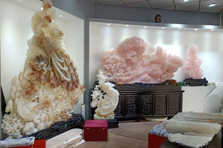 展示
