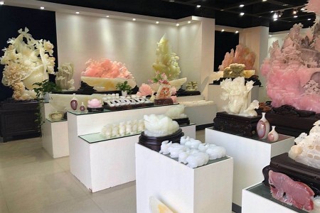 展示
