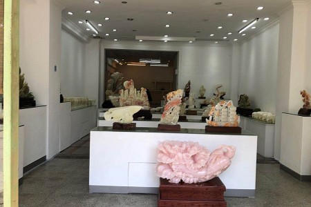 展示