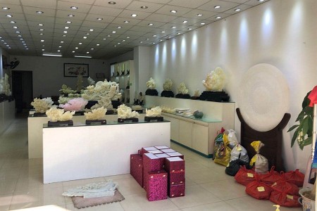 展示