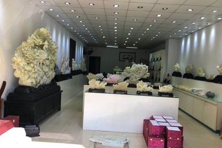 展示