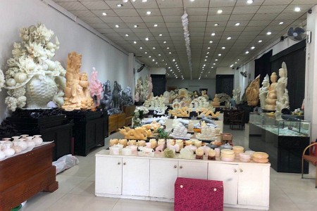展示