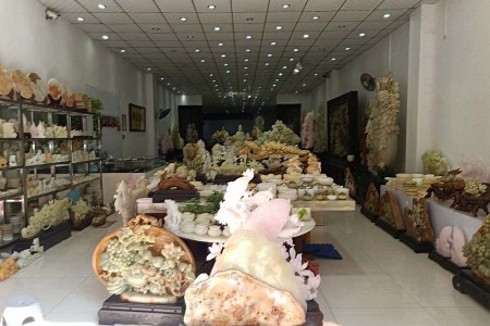 展示