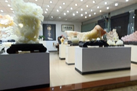 展示