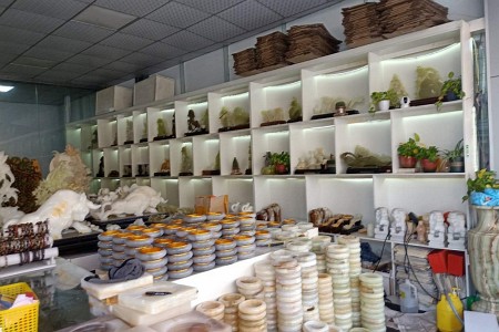 展示
