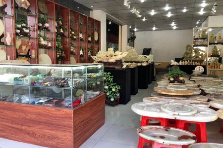 展示