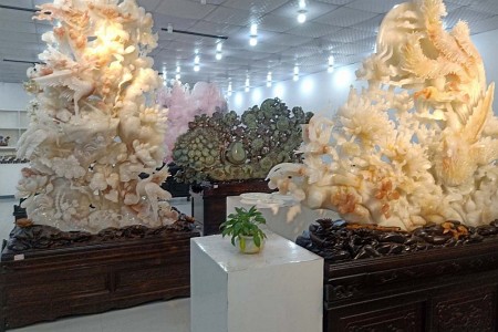 展示