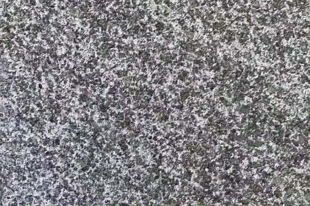 芝麻黑細(xì)花噴砂面