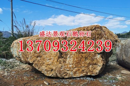 景觀石九龍壁 園林石風景石 觀賞石 黃蠟石 刻字石