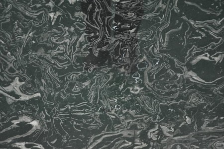 金烏玫瑰