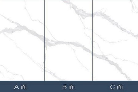 拉薩白