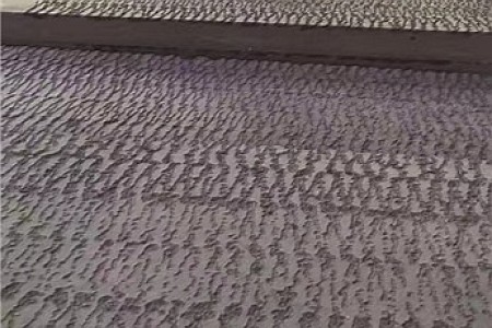 中國黑菠蘿面