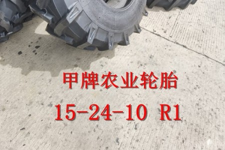 15-24-10 R1