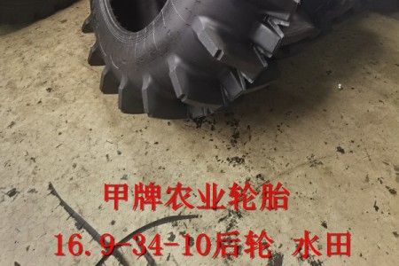 16.9-34-10 PR1 水田花 