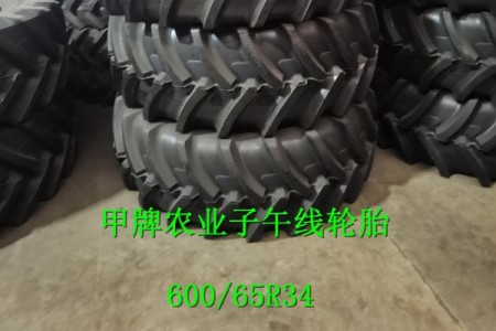 600/65R34 R-1W 甲 TL R-1W 甲 TL