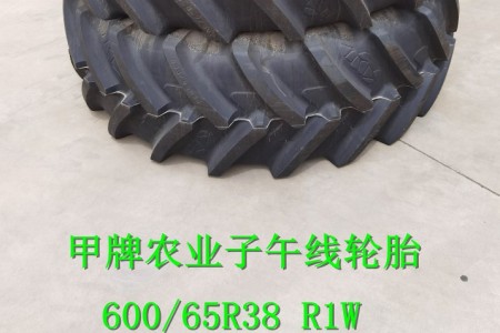 600/65R38 TR1W 