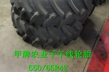 650/65R42 R-1W 甲 TL
