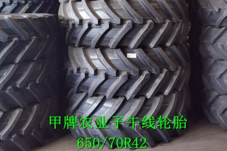 650/70R42 R-1W 