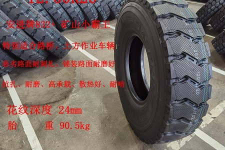 安進(jìn)12.00R20 832大花 