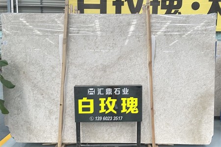 白玫瑰