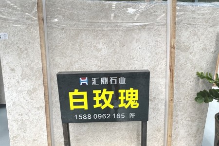 白玫瑰