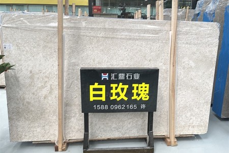 白玫瑰