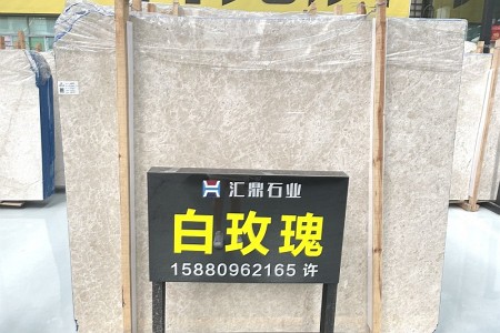白玫瑰