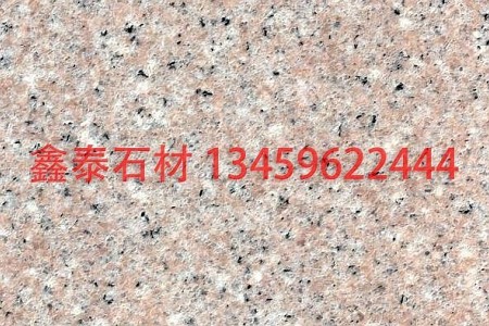蝦紅