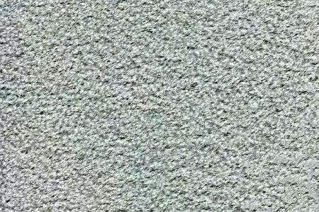廣西青石荔枝面