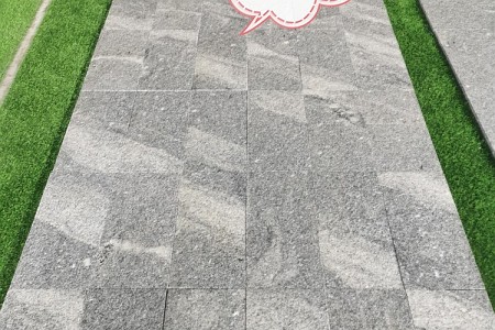 大白稍花(濕)