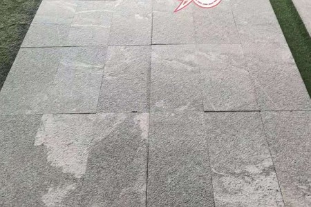 芝麻黑黑白花