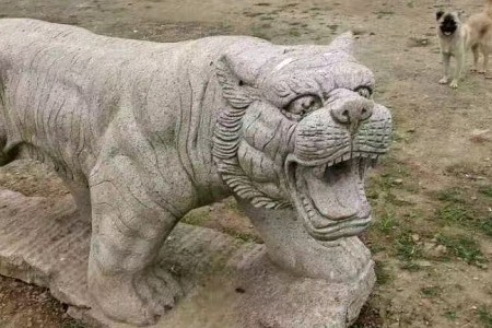 黃金麻
