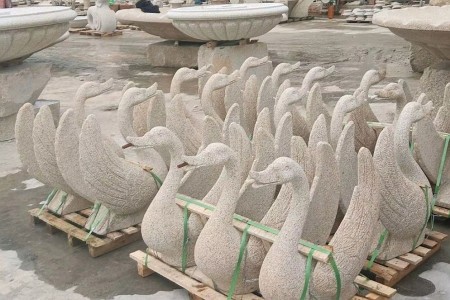 黃金麻