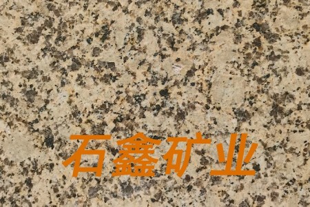 淺黃光面菊花黃江西卡麥