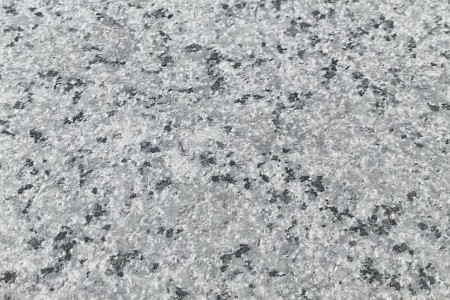 紫藍(lán)花(珍珠蘭)荔枝面