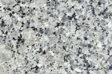 紫藍(lán)花(珍珠蘭)光面