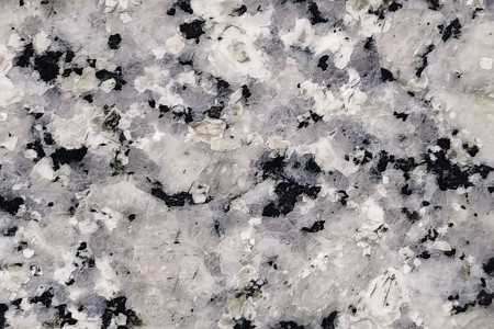 新珍珠蘭