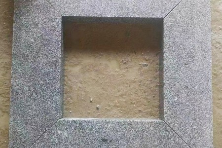 樹(shù)圍石