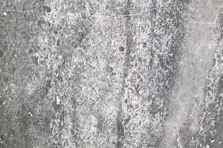 澳利沙灰