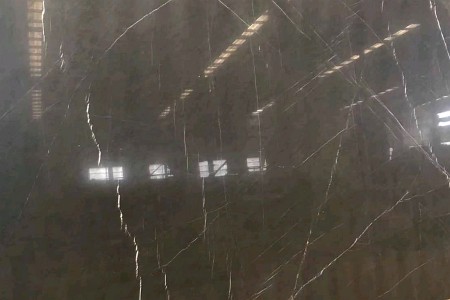 保加利亞灰