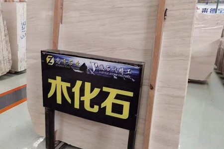 木化石