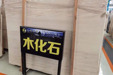 木化石