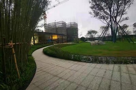 海浪花