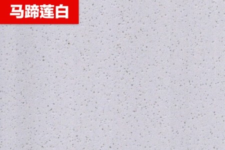 馬蹄蓮白
