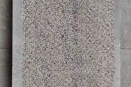中國黑(古藺黑)荔枝留邊