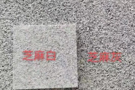 廉江芝麻白樣板