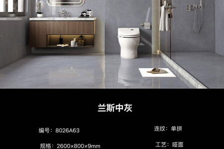 蘭斯中灰