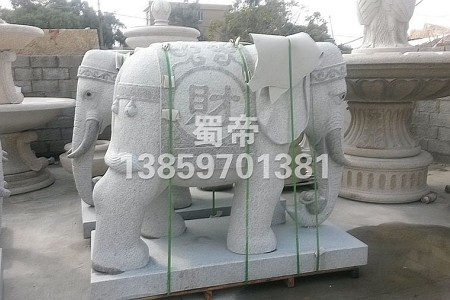 大象