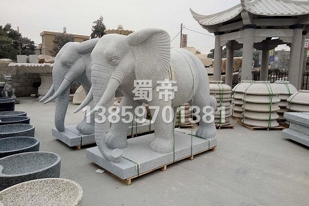大象