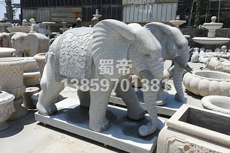 大象